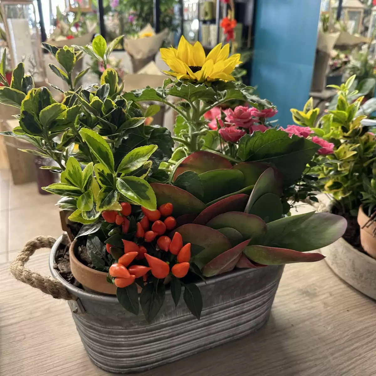 COMPOSITION DE PLANTES POUR L’EXTÉRIEUR à partir de