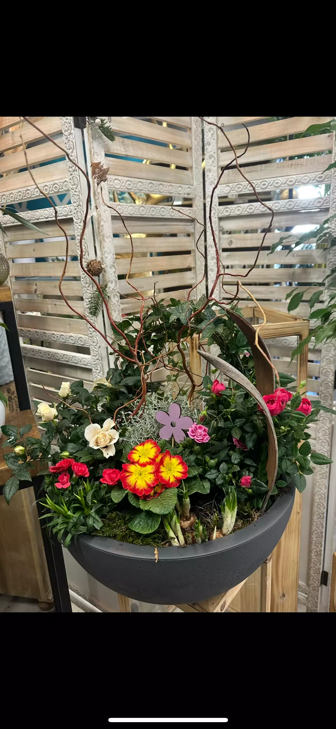 Coupe de plante